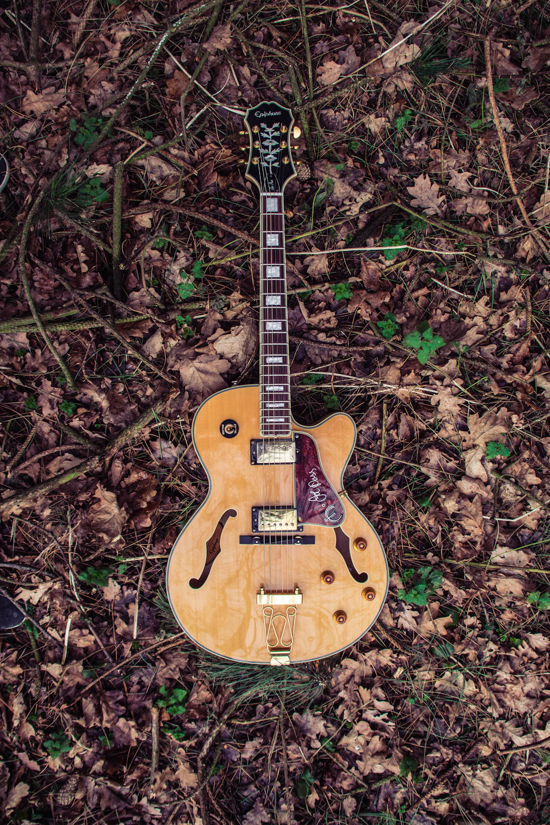 Identifying Common Guitar Issues: A Guitarist's Guide