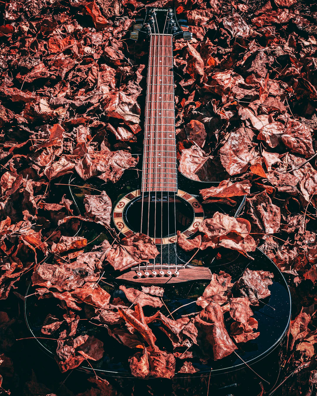 Sustainable Strumming: The Guitar Industry's Green Revolution